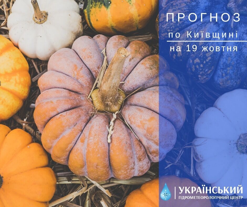 Невеликий дощ і до +15°С: детальний прогноз погоди в Києві та області на 19 жовтня