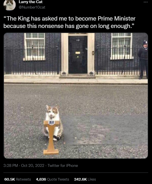 Кіт Ларрі з резиденції британських прем'єрів "відреагував" на відставку Ліз Трасс