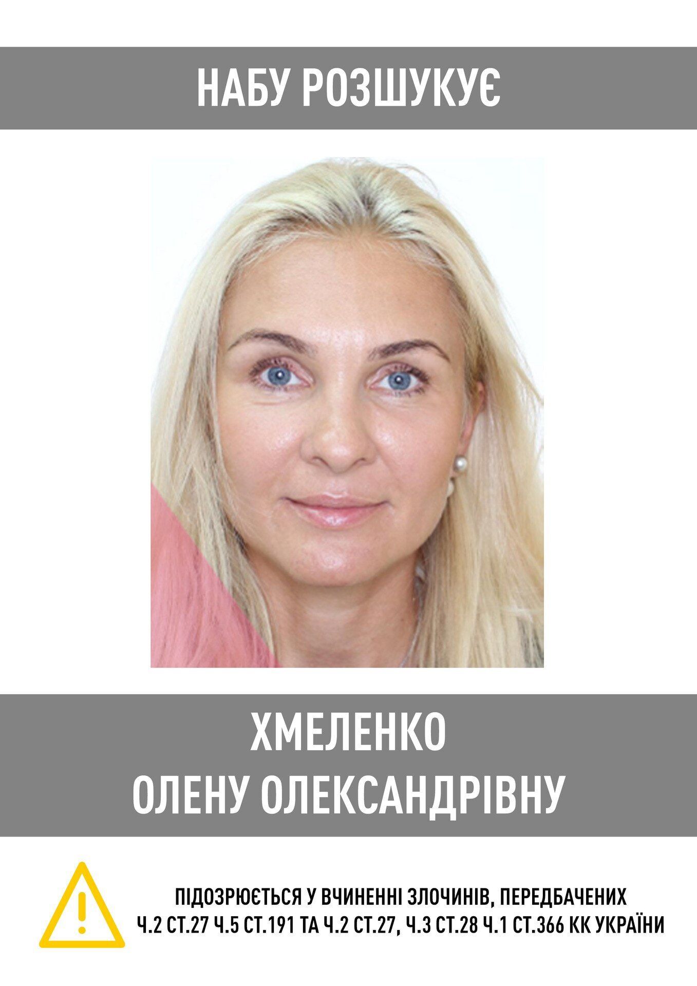 НАБУ объявило в розыск экс-председателя Нацбанка Кирилла Шевченко: в чем обвиняют