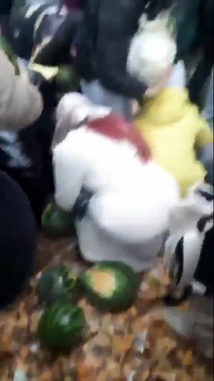 В РФ устроили давку с разборками из-за арбузов: не могли поделить "подарок" власти. Видео