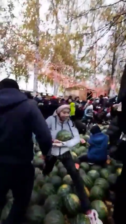 В РФ устроили давку с разборками из-за арбузов: не могли поделить "подарок" власти. Видео