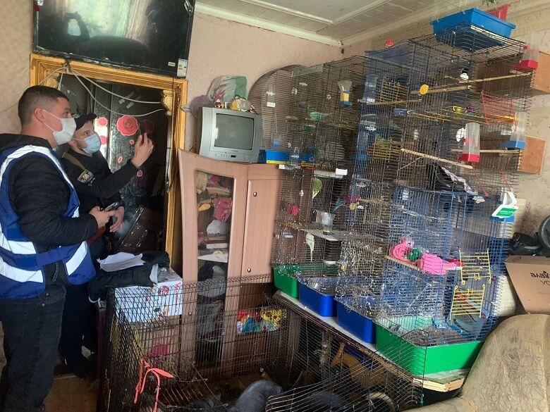 В Киеве 5-летняя девочка жила в неподходящих для жизни условиях вместе с 10 собаками. Фото и видео