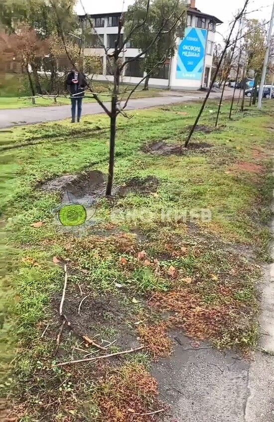 В Киеве грузовик выехал на зеленую зону, сломал несколько деревьев и задел столб. Видео