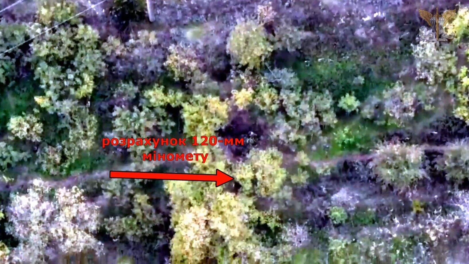 Украинские десантники ювелирно уничтожили расчет 120-мм миномета, личный состав и БК оккупантов на юге. Видео