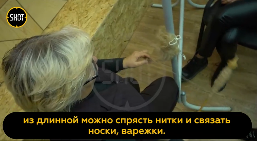 У Челябінську почали збирати по всій Росії собачу шерсть, щоб в’язати шкарпетки солдатам. Відео