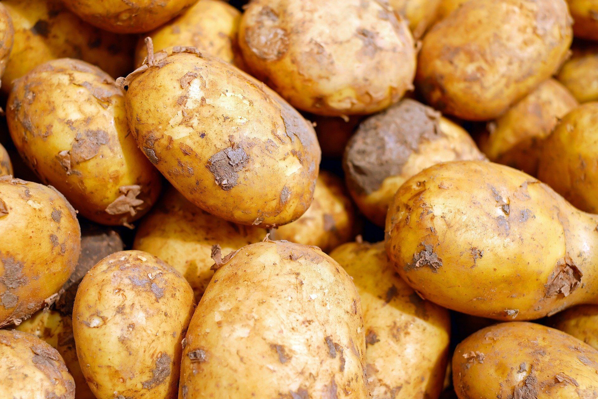 Як правильно готувати картоплю