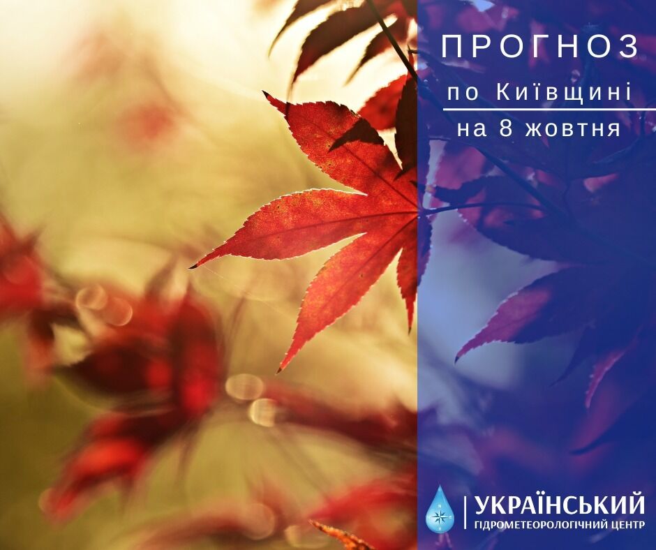 Вранці місцями туман і до +19°С: прогноз погоди в Києві та області на 8 жовтня
