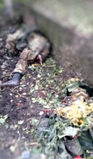 Один из оккупантов самоликвидировался, услышав о ВСУ: львовские десантники ''демилитаризовали'' целое вражеское подразделение