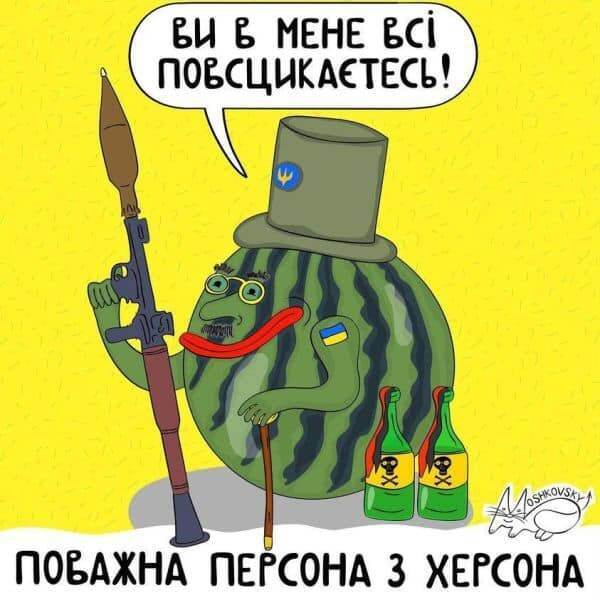 У сомів був "бенкет", а ЗСУ святкували: мережа відреагувала мемами на втечу окупантів та звільнення Херсона