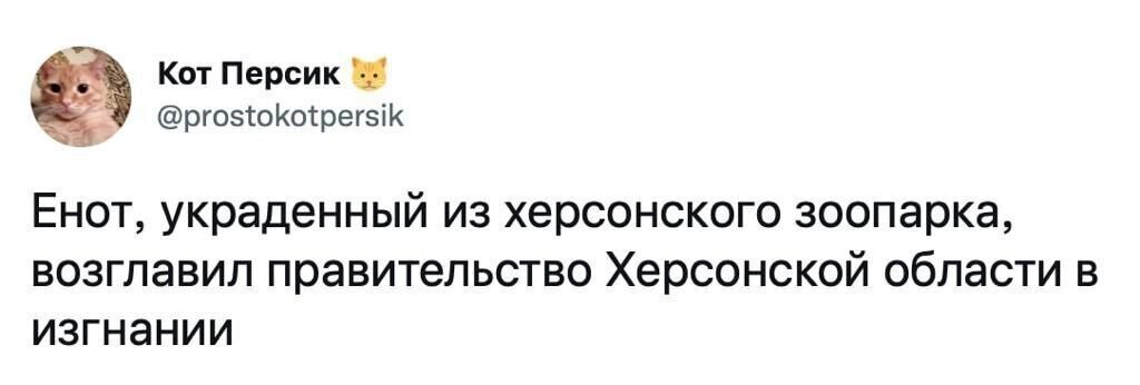 Міняємо 10 "мобіків" на херсонського єнота:  мережа вибухнула мемами після пограбування окупантами зоопарку