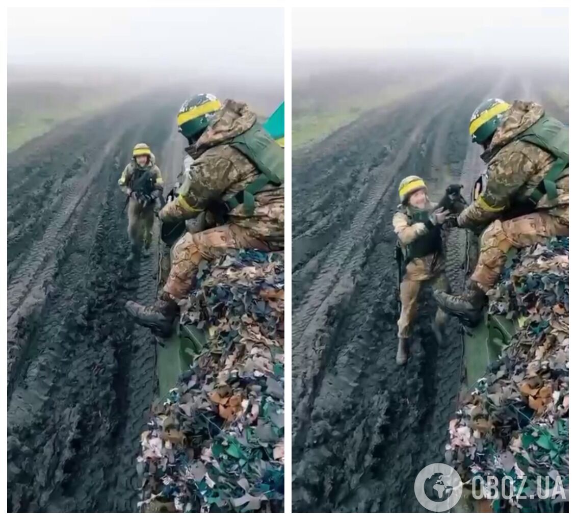 Воїни підібрали безпритульне цуценя