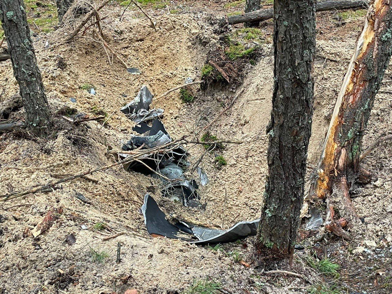 На Київщині в лісі знайшли уламки ще однієї збитої ракети. Фото та відео