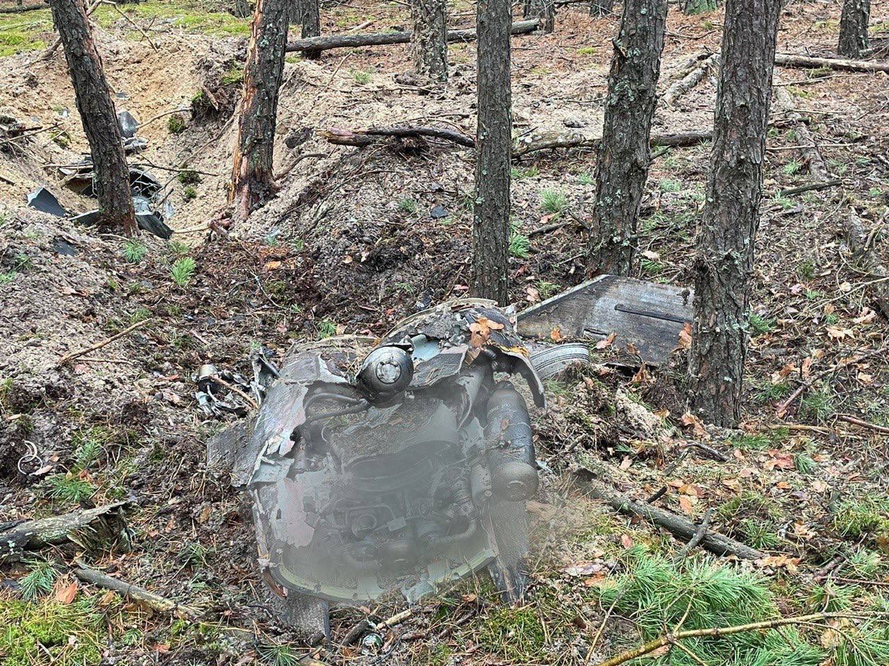 На Київщині в лісі знайшли уламки ще однієї збитої ракети. Фото та відео