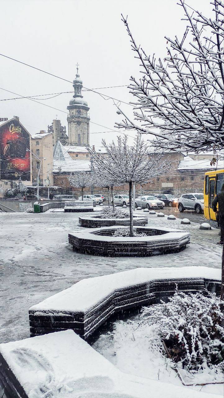 У Києві, Львові та Харкові пішов перший сніг: Фото і відео