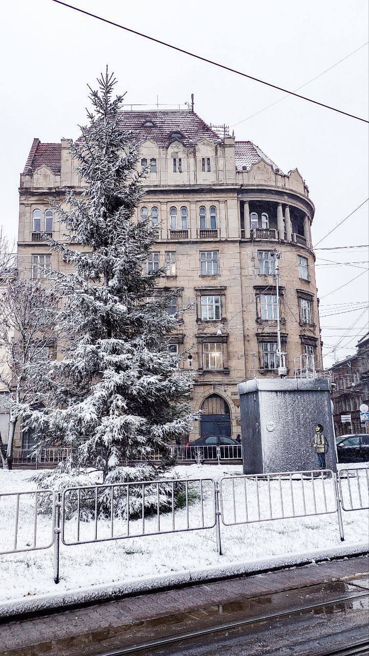 У Києві, Львові та Харкові пішов перший сніг: Фото і відео