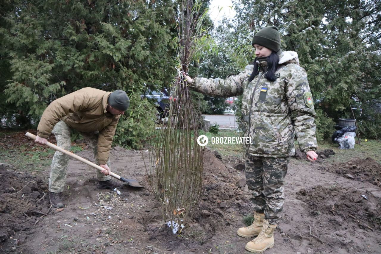 В Бородянке высадили "Калиновую рощу" в память о погибших защитниках Украины. Фото и видео