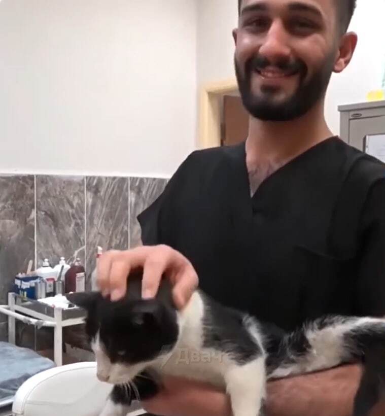 У Туреччині кіт зі зламаною лапою сам прийшов у травмпункт. Фото і відео