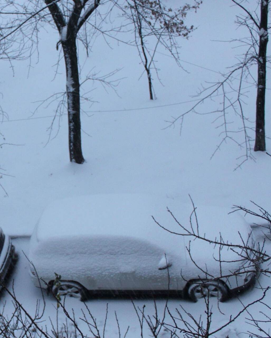 Киев ночью засыпало снегом: в сети показали яркие фото и видео
