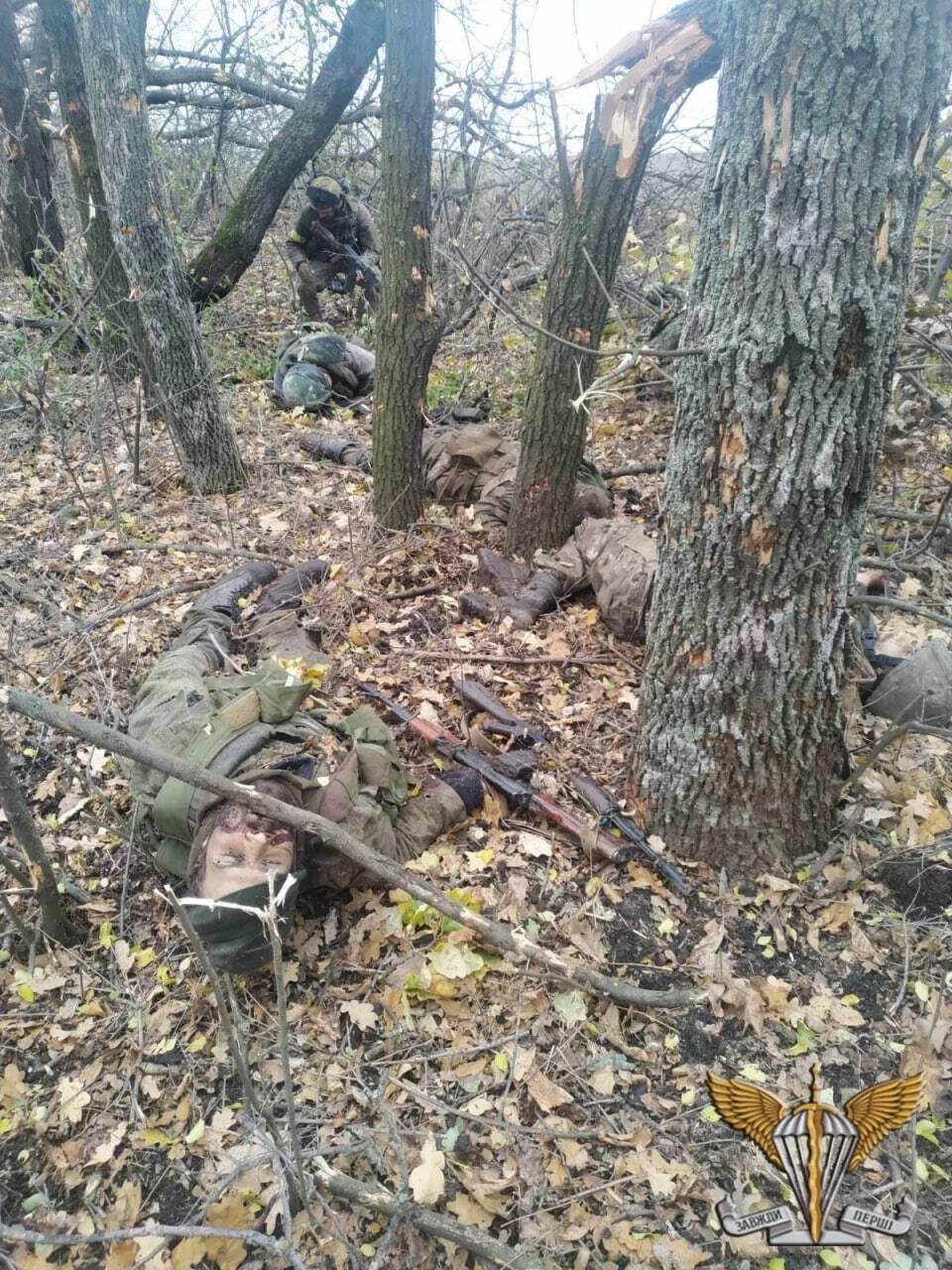 Украинские десантники уничтожили подразделение российских оккупантов: телами захватчиков "усеяна" лесополоса. Фото и видео