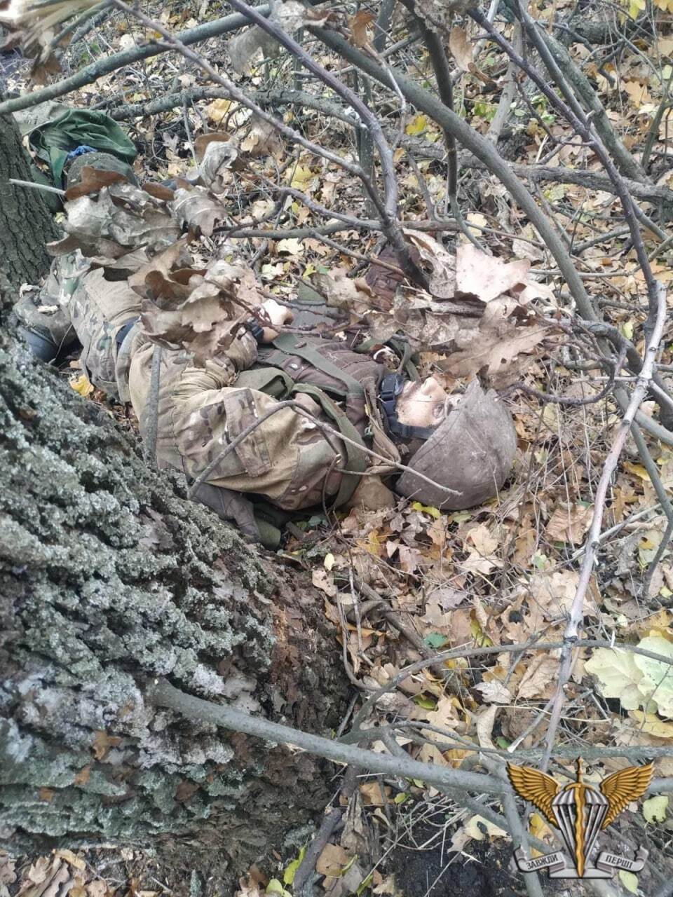 Украинские десантники уничтожили подразделение российских оккупантов: телами захватчиков ''усеяна'' лесополоса. Фото и видео