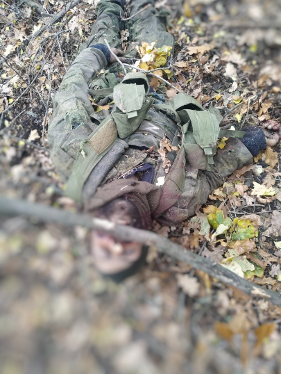 Українські десантники знищили підрозділ російських окупантів: тілами загарбників ''всіяна'' лісосмуга. Фото і відео