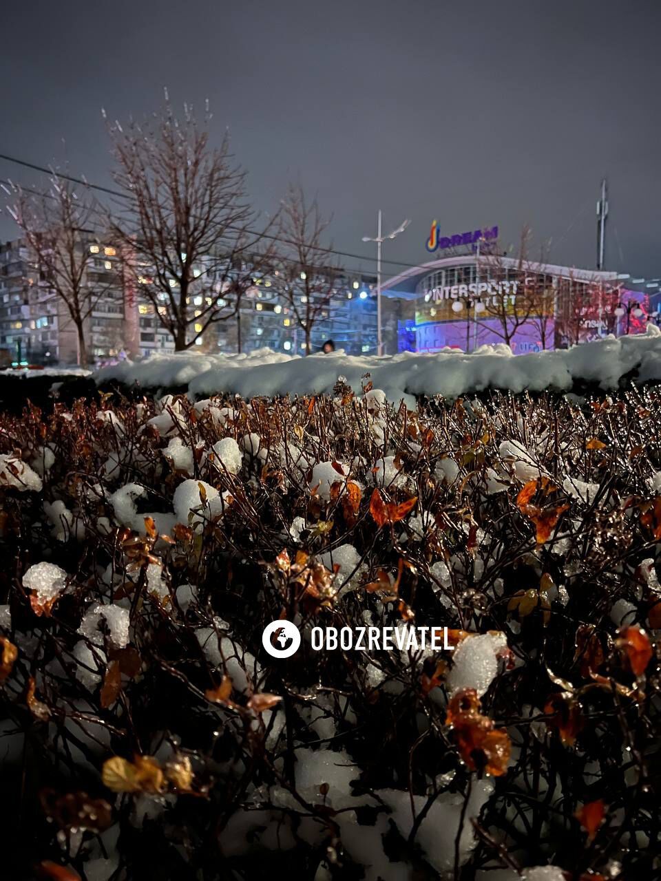 Первое дыхание зимы: фоторепортаж из захваченного в ледяной плен Киева