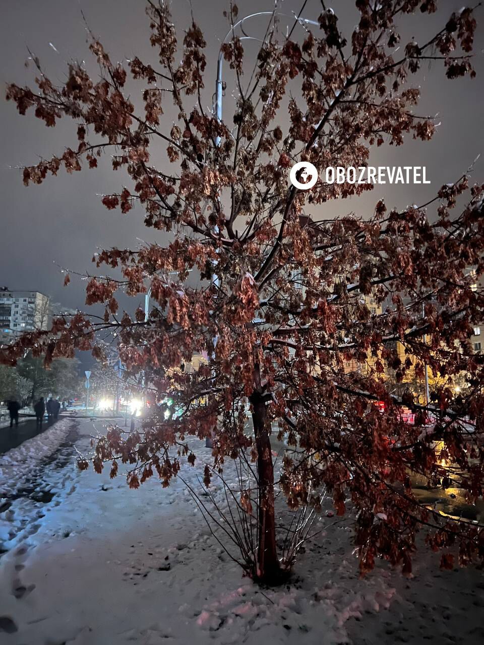 Перший подих зими: фоторепортаж із захопленого в крижаний полон Києва