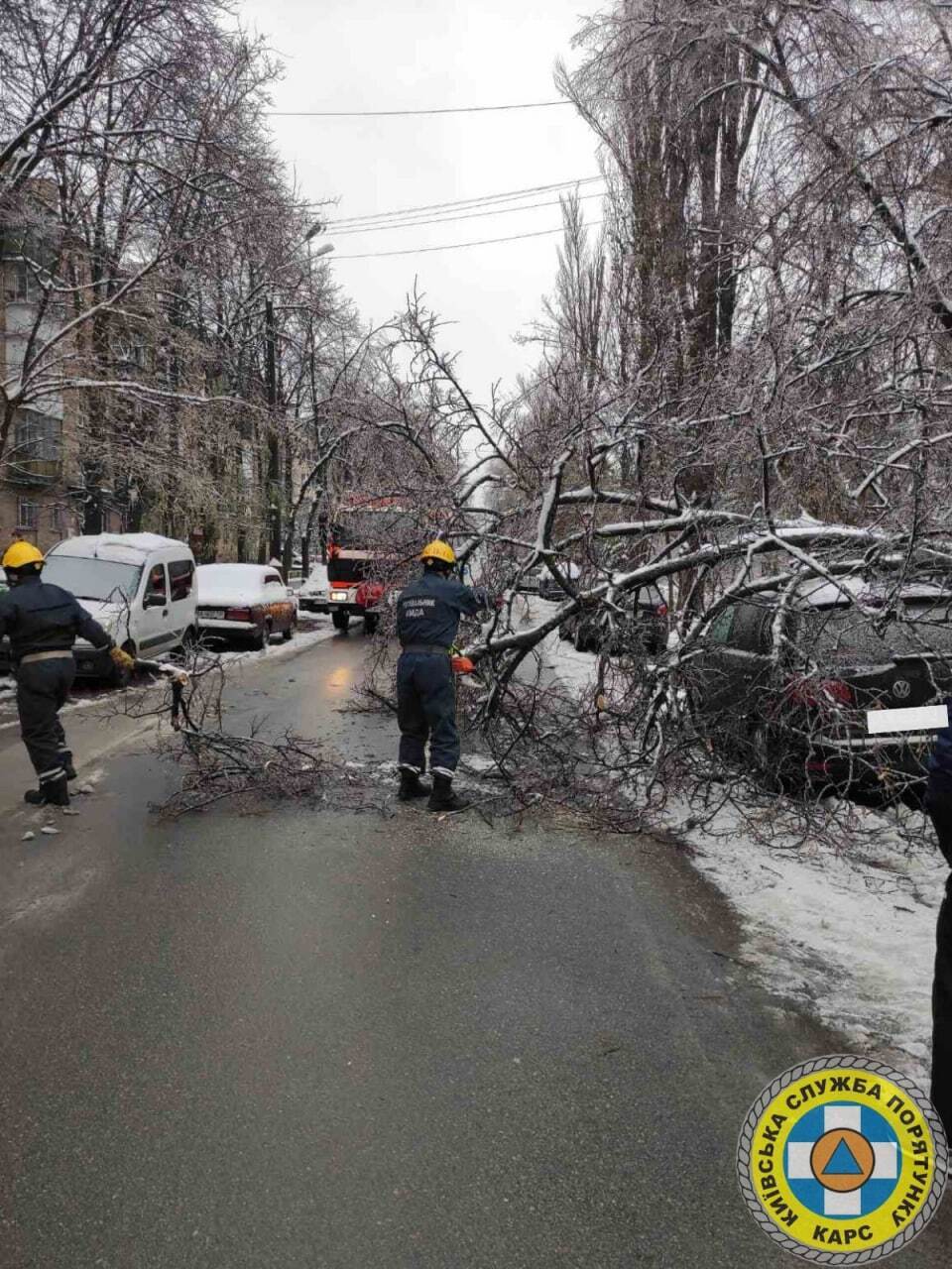 У КМДА розповіли про наслідки негоди в Києві: зламано 120 дерев. Фото