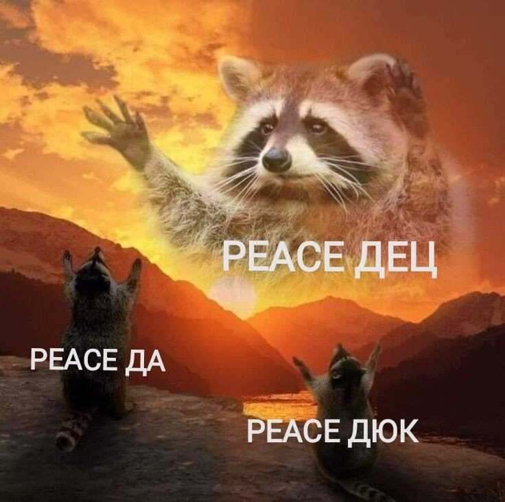 "PEACE Дец", "PEACE Да" і "PEACE Дюк"