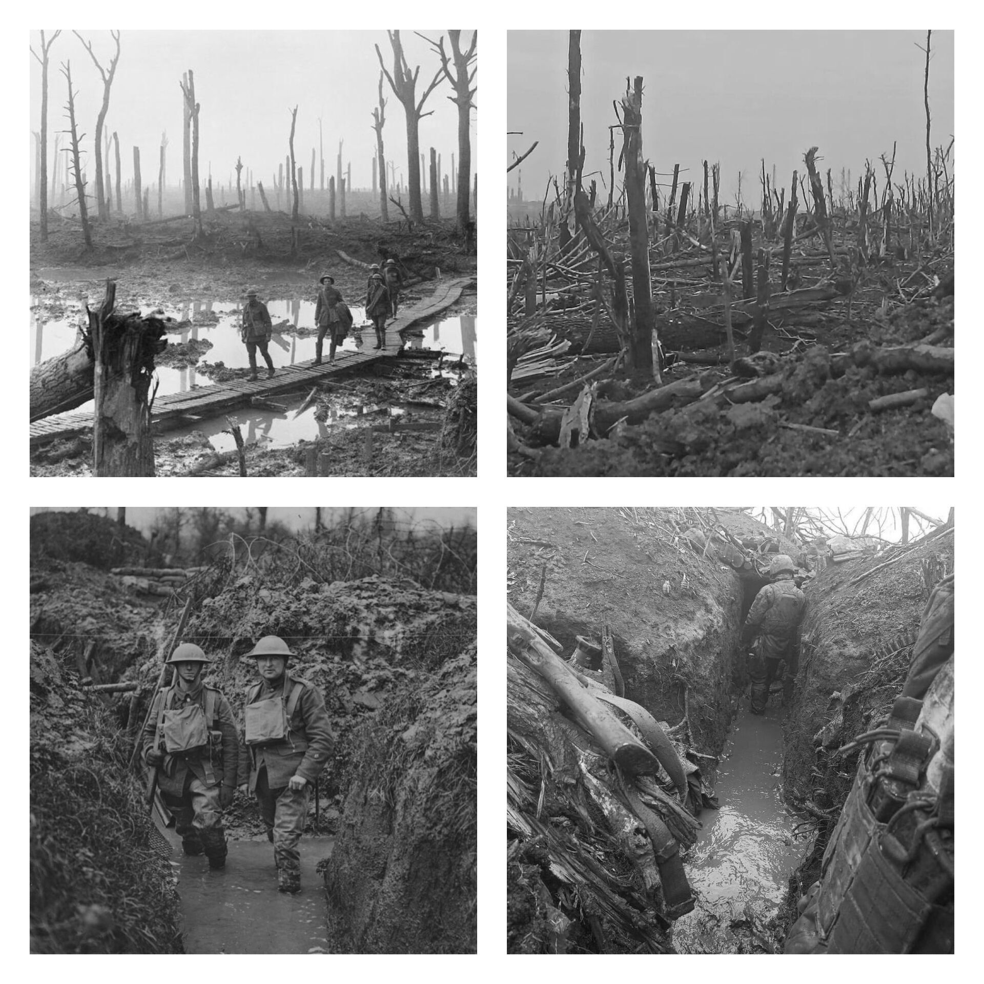 Выжженная земля и полметра воды в окопах: в сети показали свежие фото из Бахмута и кадры времен Первой мировой войны