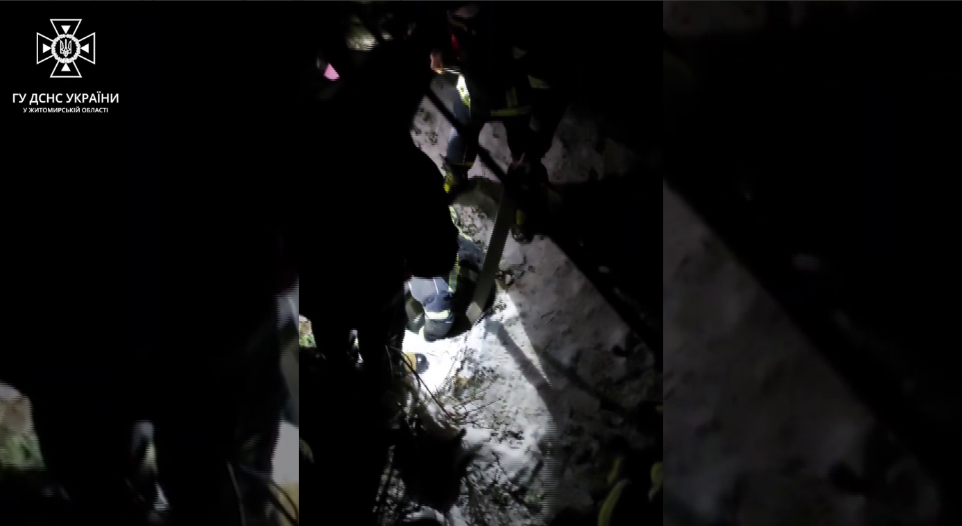 Рятувальники врятували пса, який впав у двометровий колодязь: зворушлива історія з Житомирщини. Відео