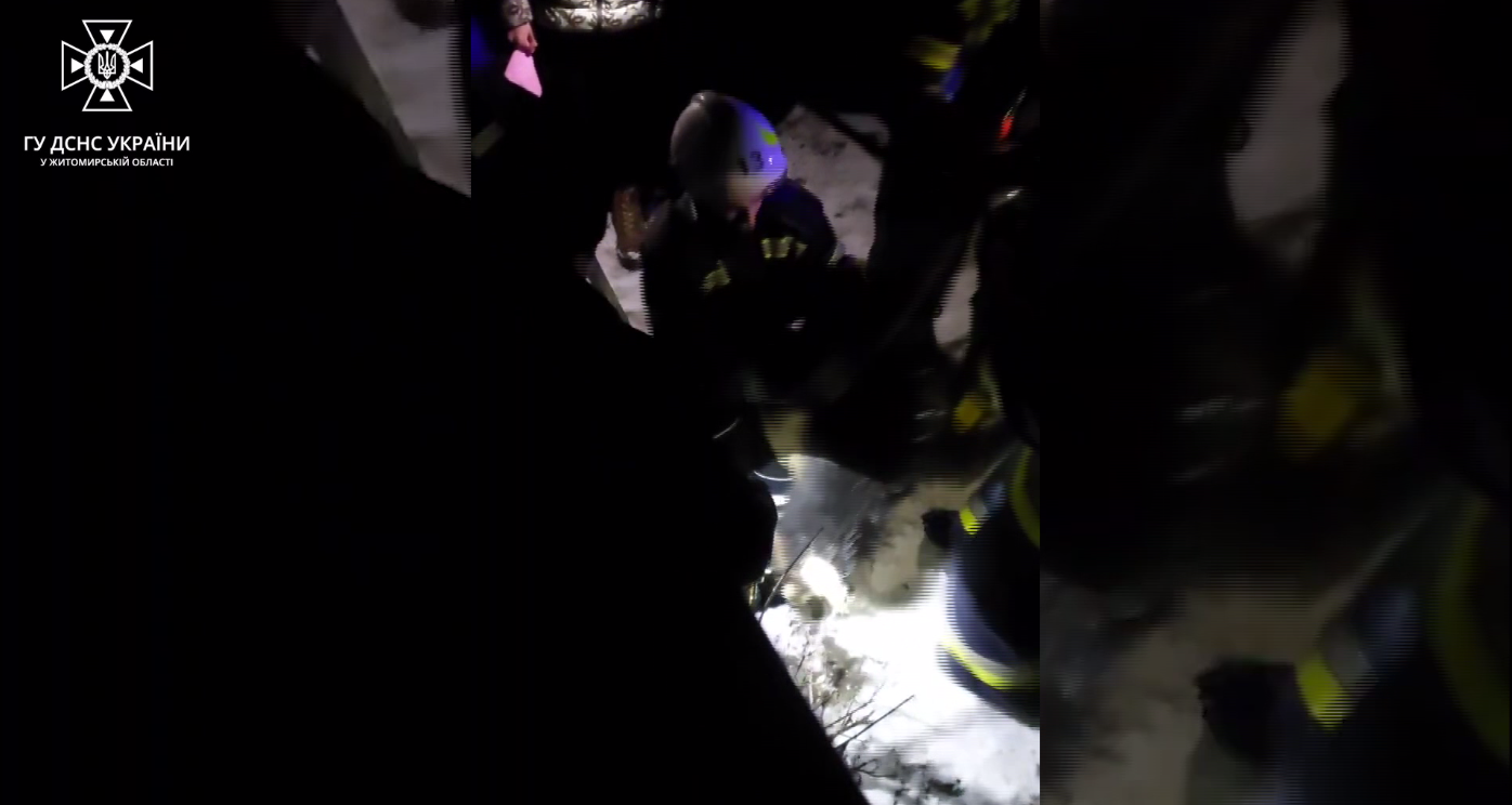 Спасатели спасли пса, который упал в двухметровый колодец: трогательная история из Житомирщины. Видео