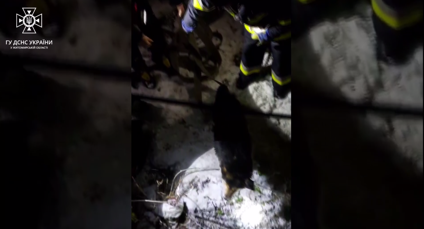 Рятувальники врятували пса, який впав у двометровий колодязь: зворушлива історія з Житомирщини. Відео