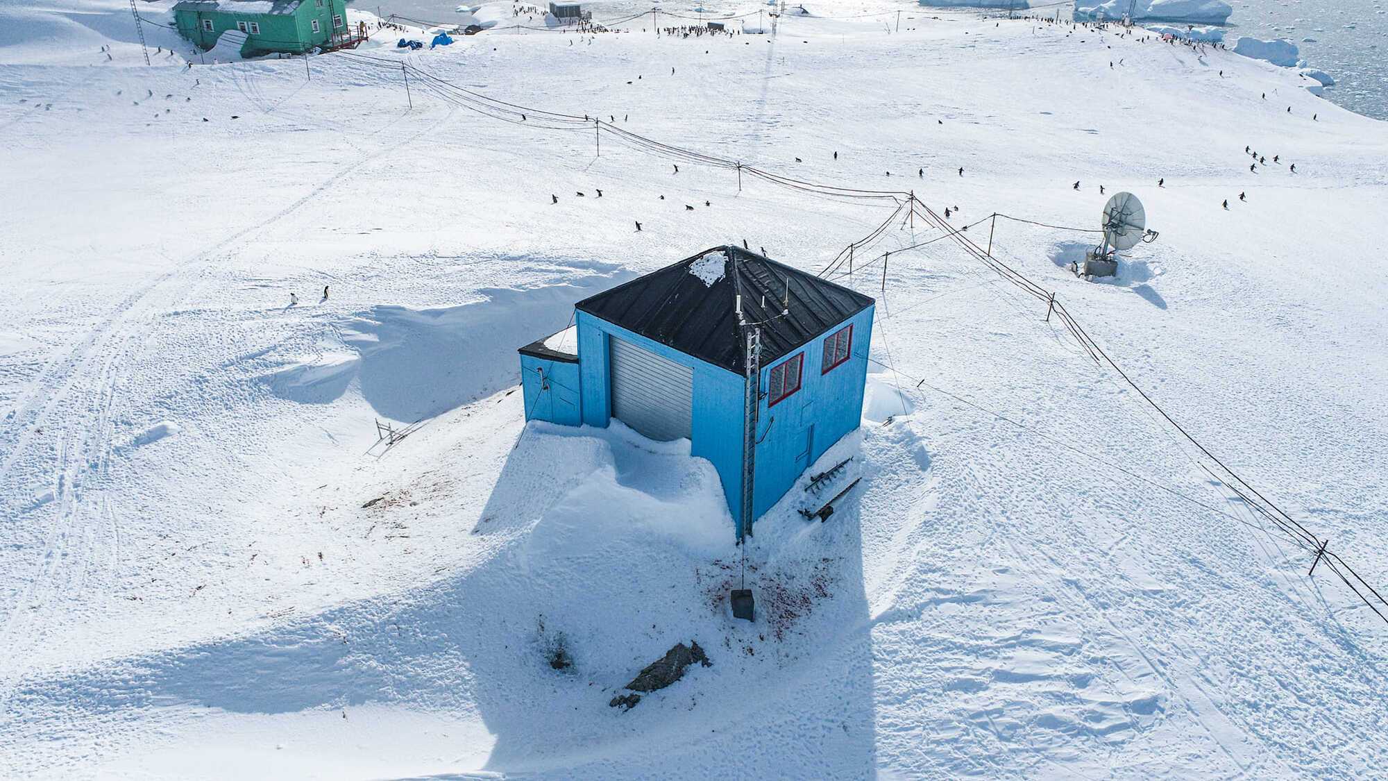 Станцию "Академик Вернадский" замело рекордным количеством снега: пингвины гуляют по крыше. Фото