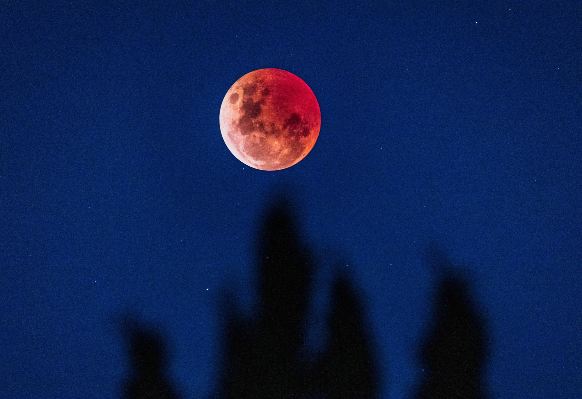 ''Кровавая Луна'' 8 ноября: сеть заполонили фото яркого зрелища
