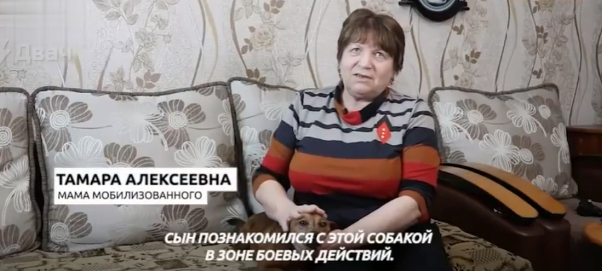 Российский "мобик" отправил матери в Башкортостан собаку, украденную в Запорожье: та назвала пса Zетом. Видео