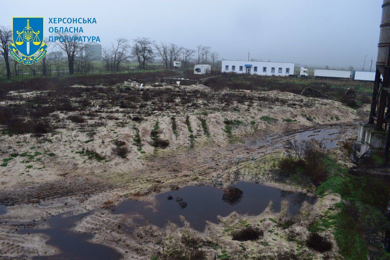 В Чернобаевке из-за обстрелов оккупантов произошел массовый мор птиц на фабрике: есть угроза заражения значительной территории