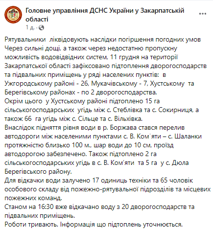 На Закарпатье из-за сильного ливня затопило несколько районов: синоптики предупредили о повышении уровня воды. Фото