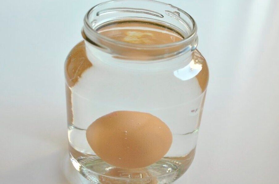 Как хранить яйца без холодильника