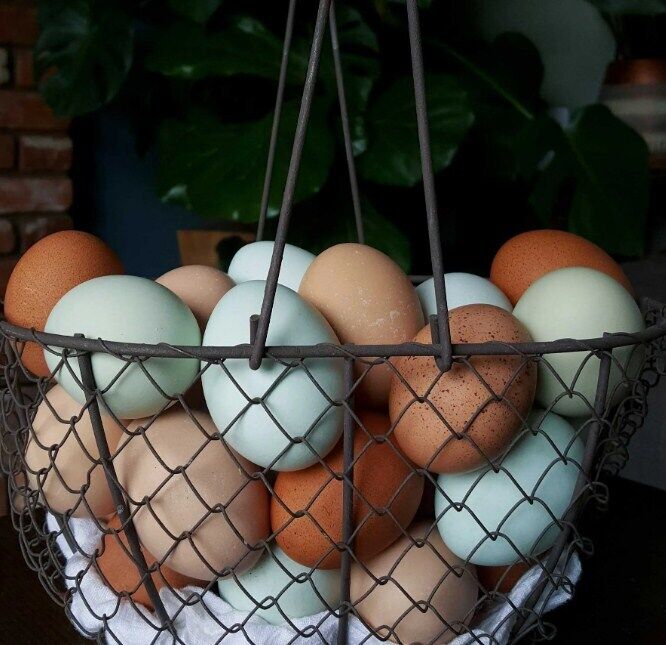 Як довше зберігати яйця свіжими
