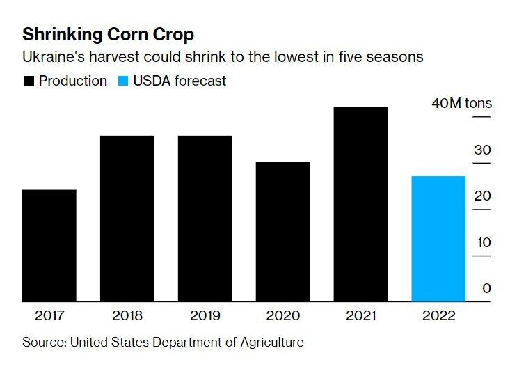 Прогнози врожаю кукурудзи невтішні