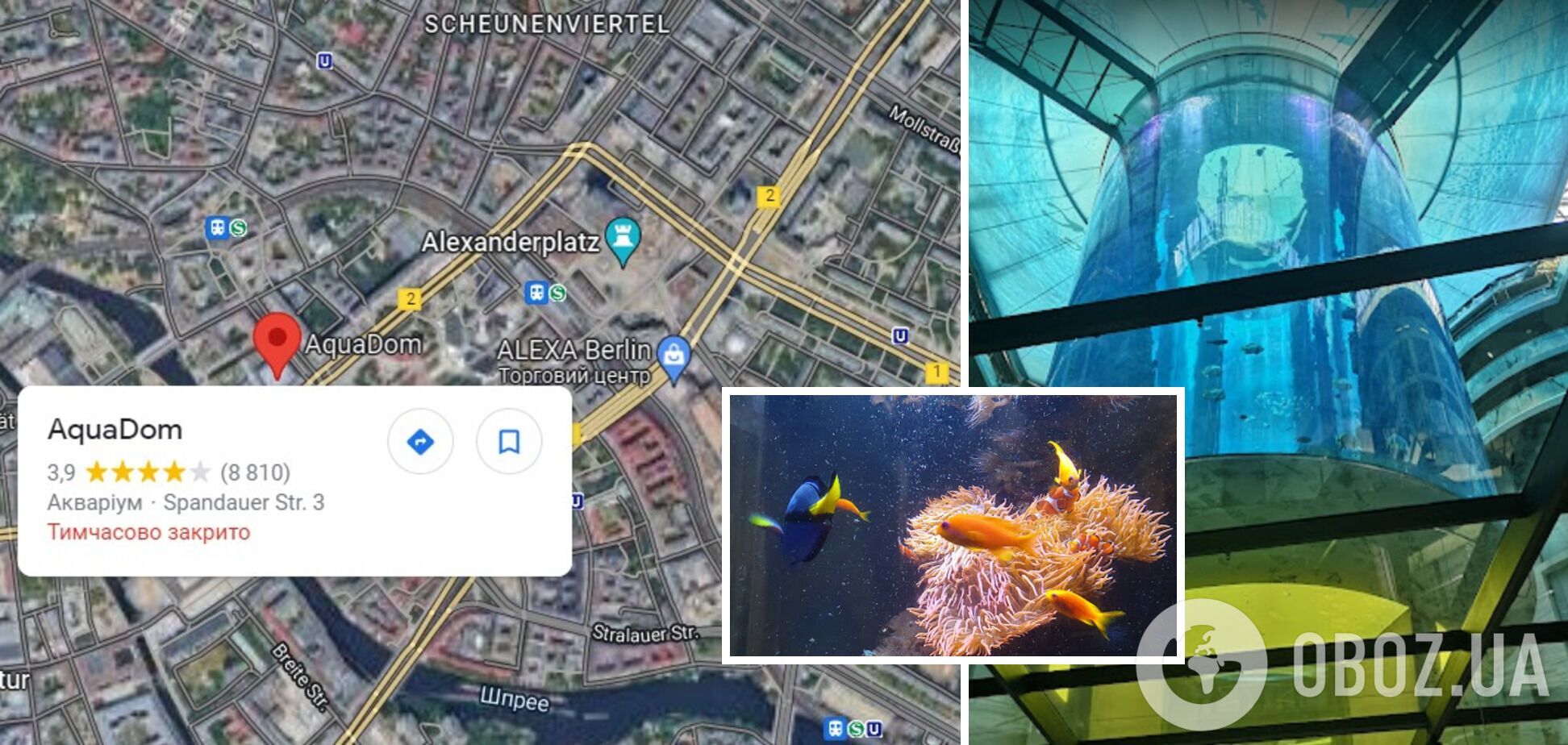 В Берлине лопнул самый большой в мире аквариум с 1 млн литров воды: есть пострадавшие, затопило улицу. Фото и видео
