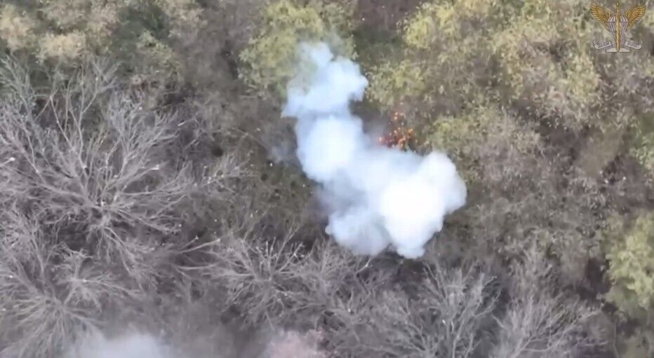 Позиция уничтожена полностью: украинские десантники показали, как бьют врага. Видео