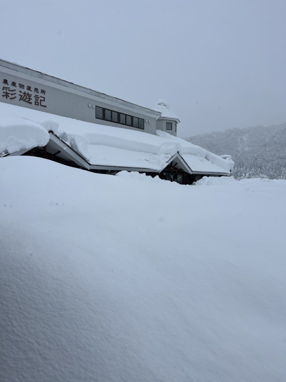 Японию накрыл мощный снегопад, десятки тысяч человек остались без света. Видео