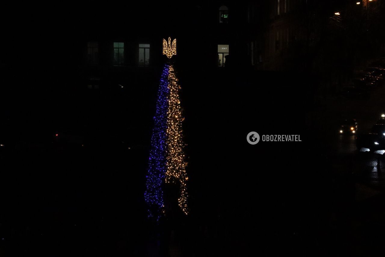 С тризубом и в цветах украинского флага: в Киеве зажгли огни на главной елке страны. Фото
