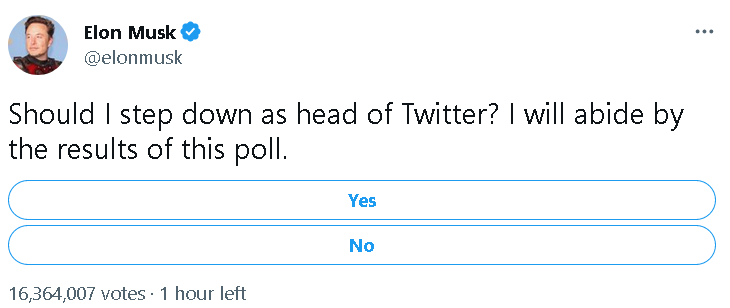 Илон Маск запустил голосовалку, должен ли он уйти с поста собственника Twitter