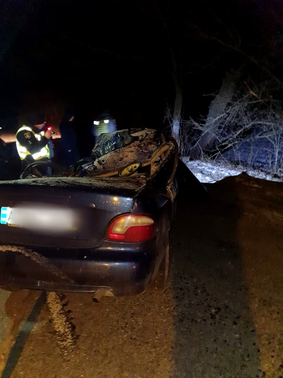 На Киевщине легковушка съехала в кювет и столкнулась с деревом: водитель погиб. Фото