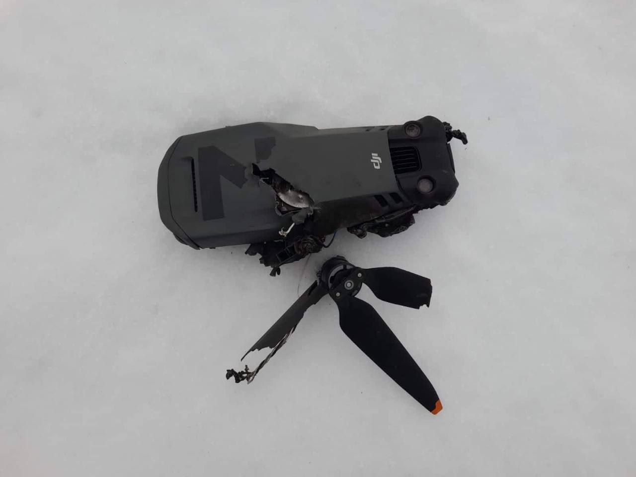 В Сумской области пограничники ''приземлили'' вражеский дрон-разведчик: его остатки упали в нескольких метрах от позиций. Фото