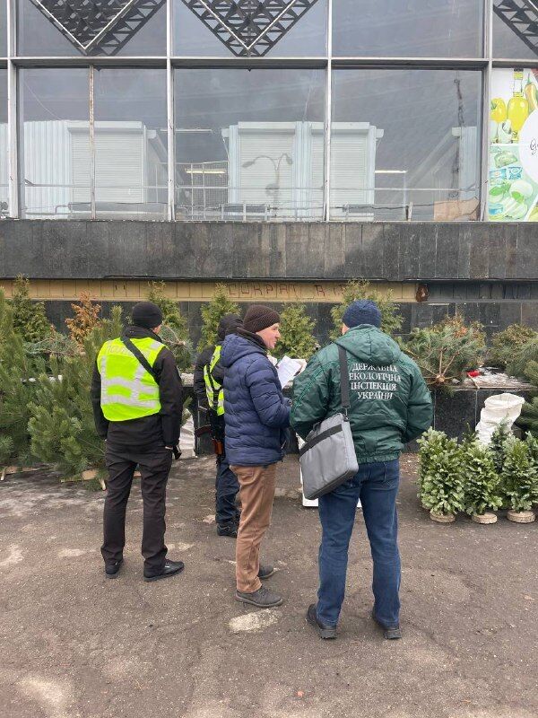 Киевлян предупредили о штрафах за покупку незаконно срубленных елок