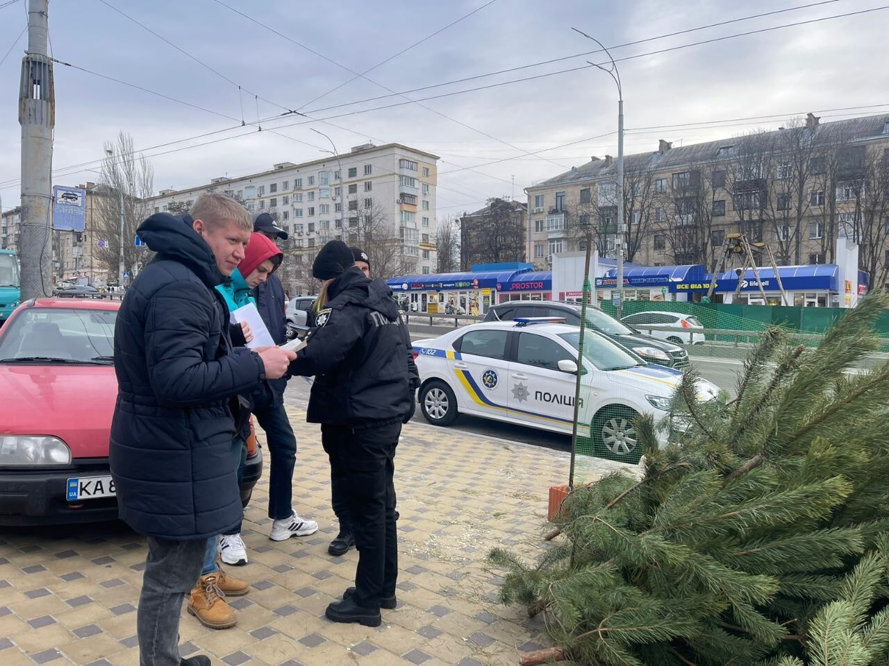 Киевлян предупредили о штрафах за покупку незаконно срубленных елок